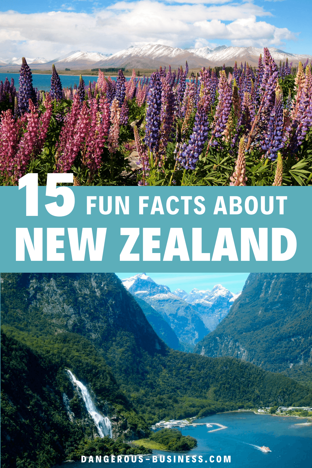 tourism in new zealand facts