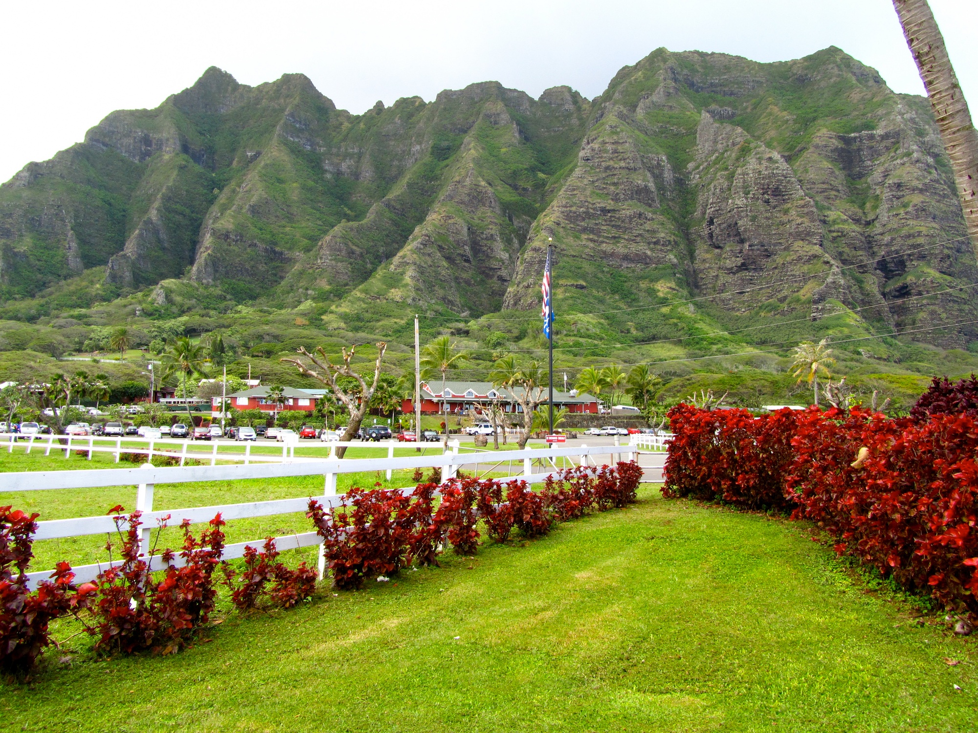 Guided tour of Oahu, Hawaii