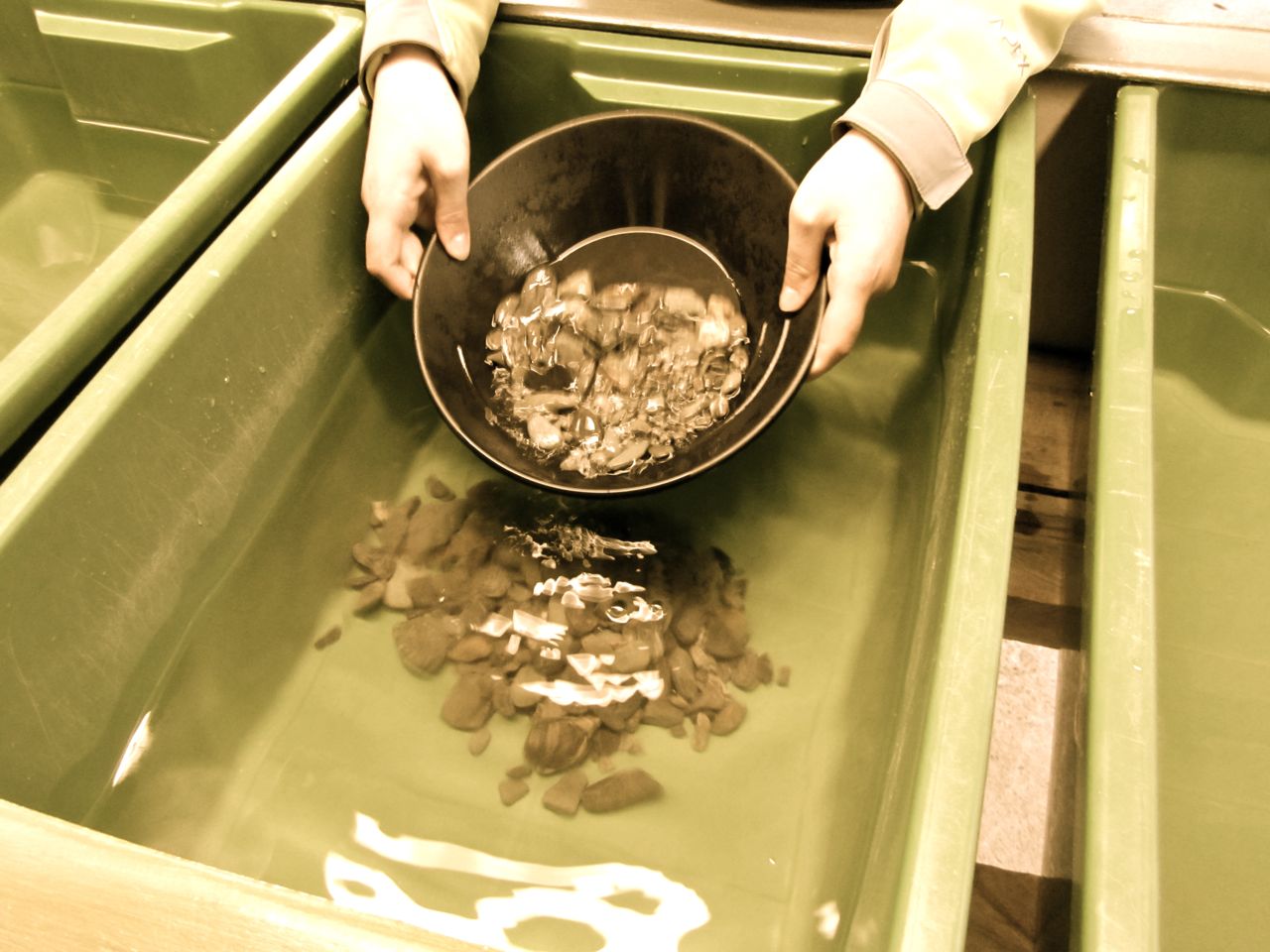 Striking it Rich in New Zealand - Panning for Gold in Ross