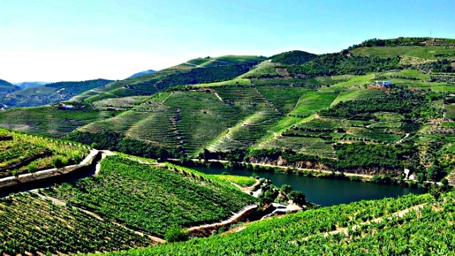 Douro Valley