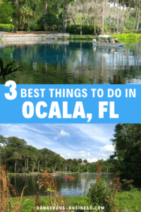 4 Unique Things to Do in Ocala, Florida