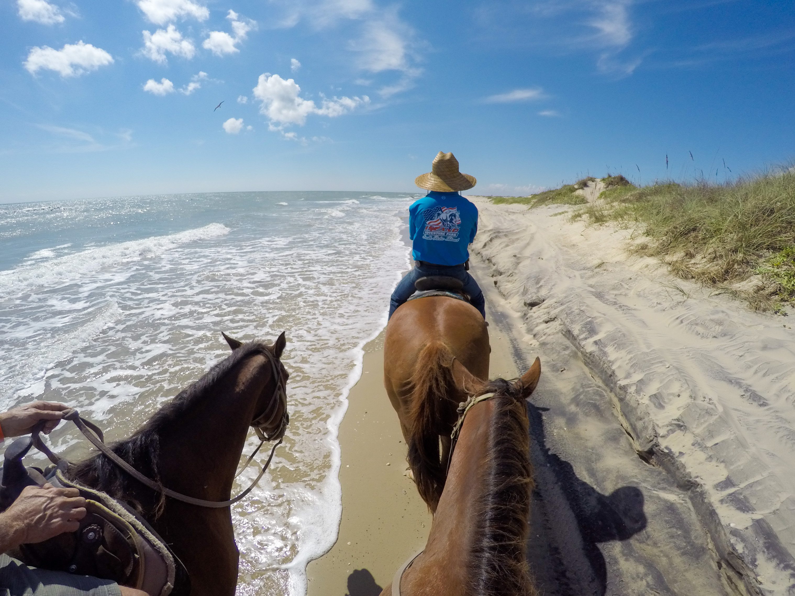 10 Awesome Things to Do on South Padre Island in Texas in 2023