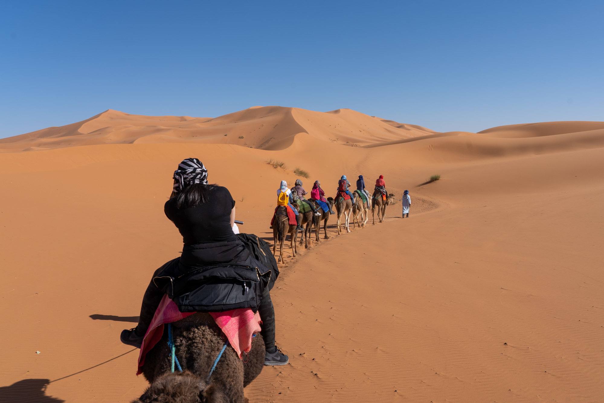 desert trip tourism