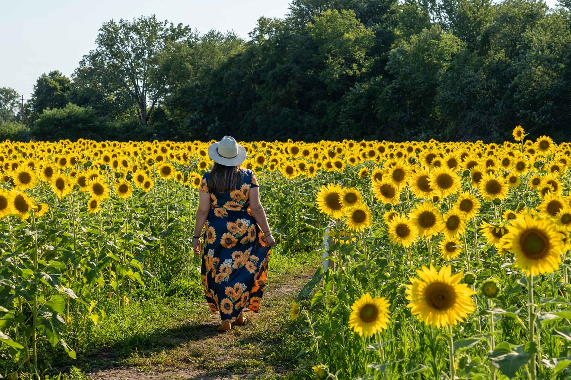 Maria's Field of Hope at Cedar Point