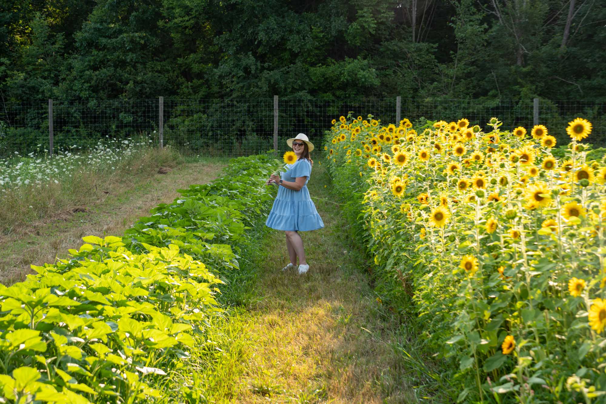 Amanda in a sunflower field