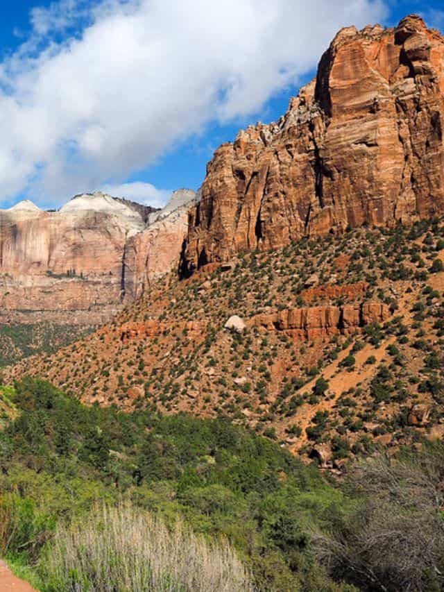 Things to Do in Zion National Park That Don’t Involve Hiking - A ...