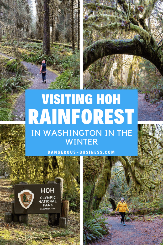 Hoh Rainforest in winter | things to do in Hoh Rainforest