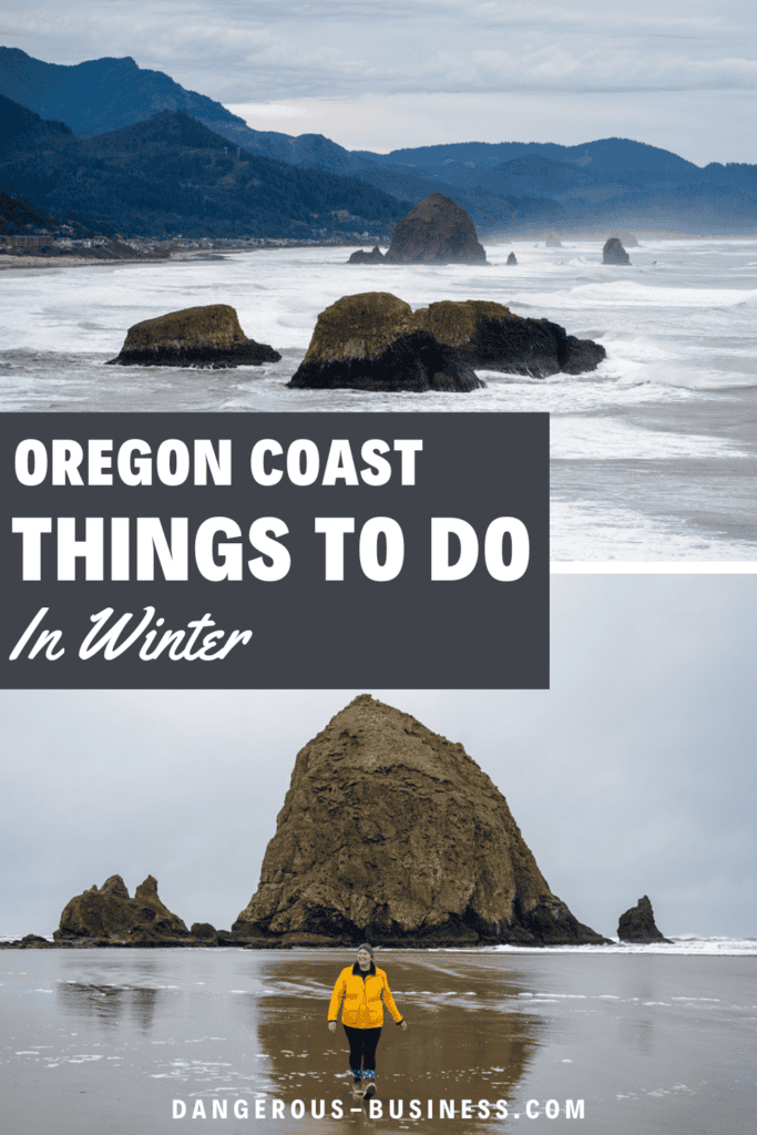 Oregon Coast in the winter