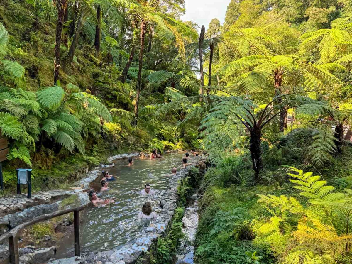 Caldeira Velha hot springs in the Azores